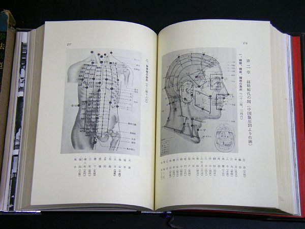 ���������ю����@���́@�@���b����_�摜2